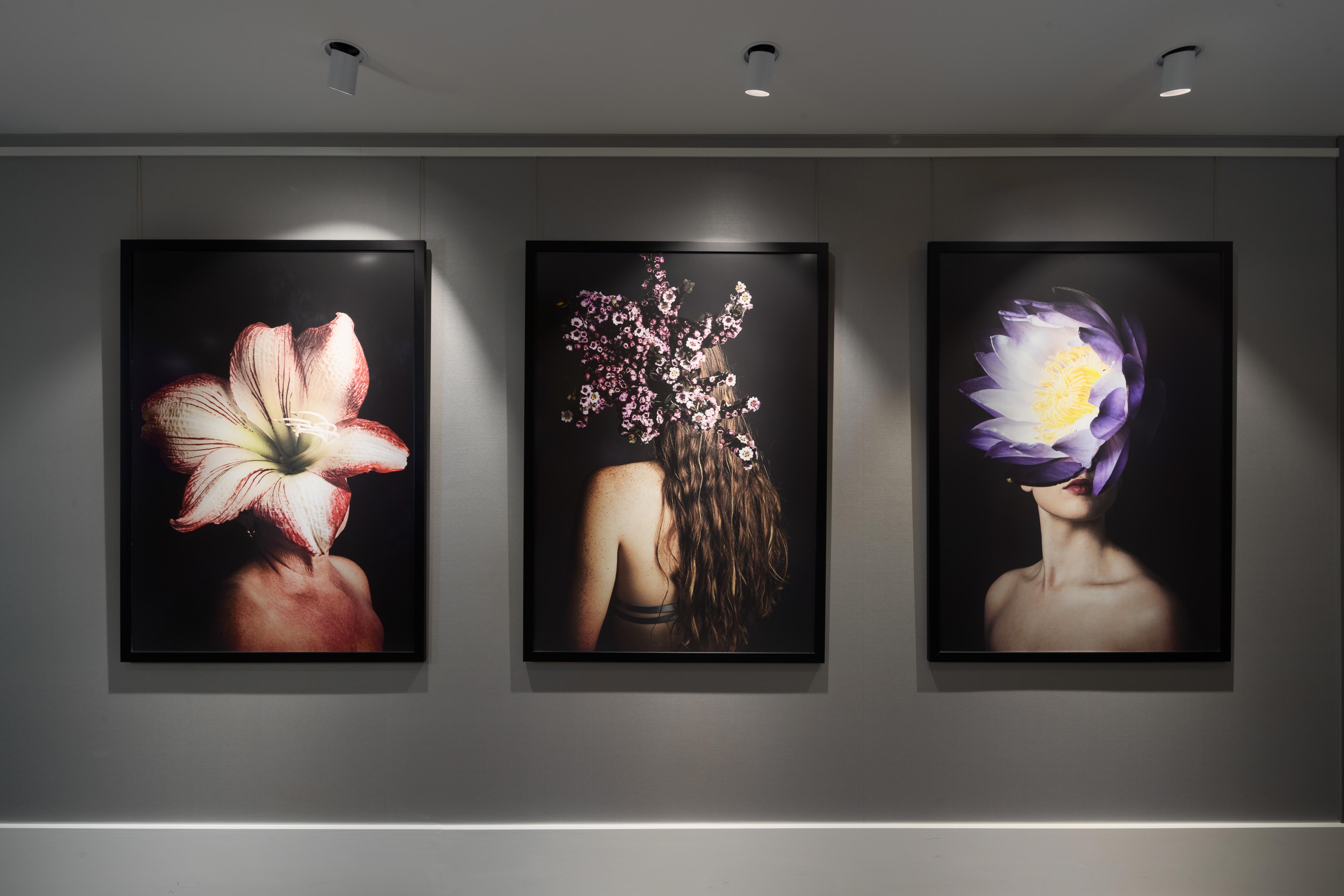 Crystalbrook Bailey Hotel Cairns Exterior foto The Flower Series